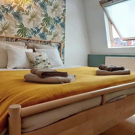 Magnifique Malouine 10 Personnes Holiday home